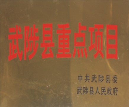 武陟縣重點(diǎn)項(xiàng)目