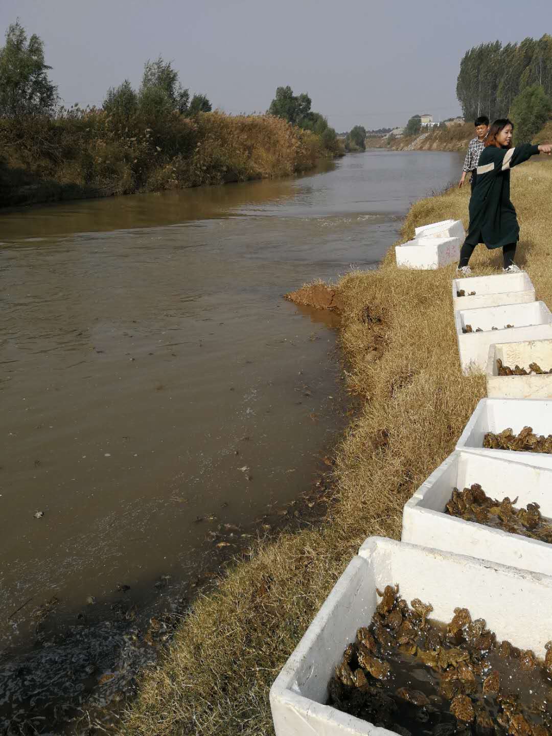 1533626398392850.jpg 162U46458-0.jpg